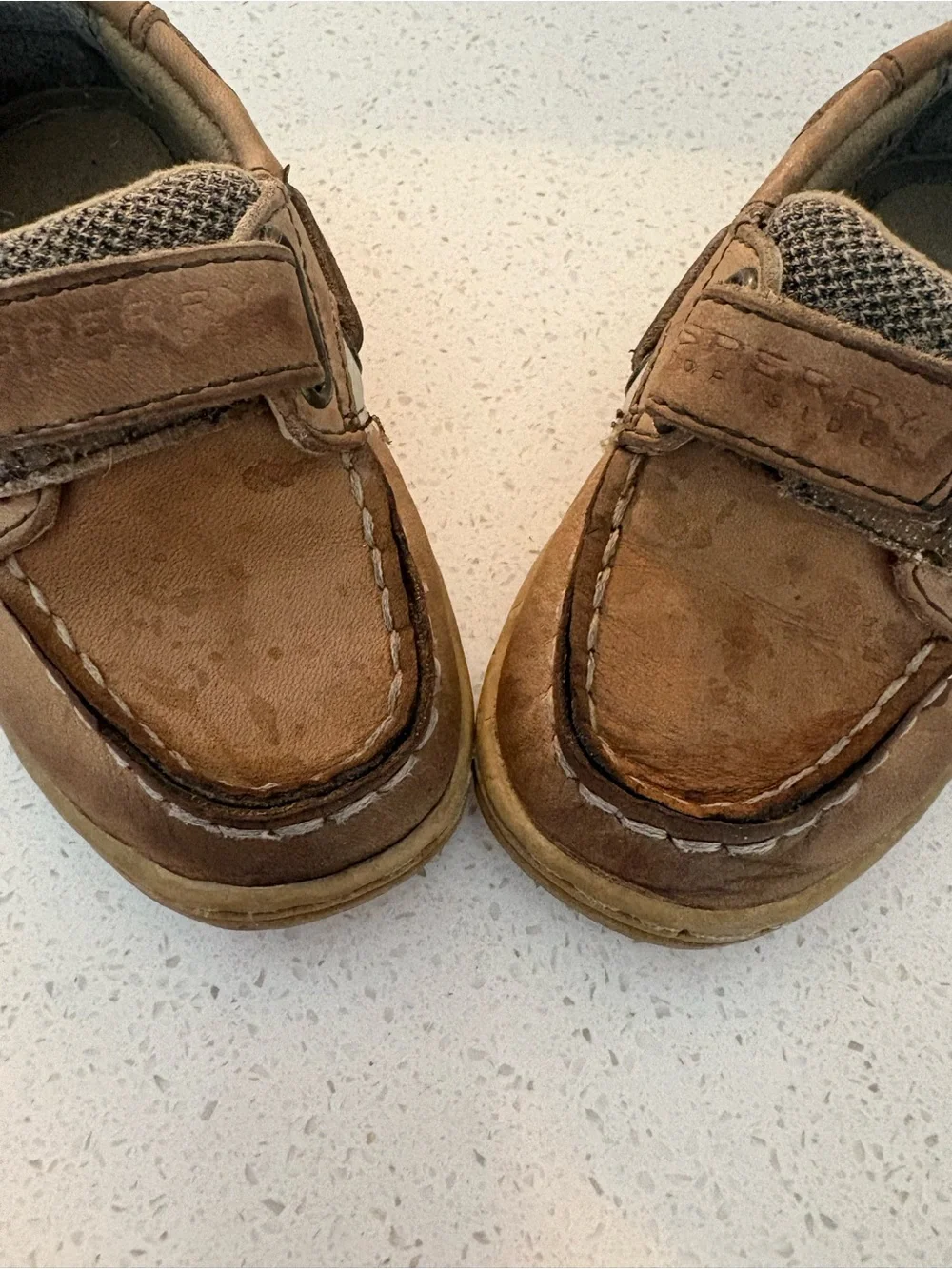 Sperry shoe itself